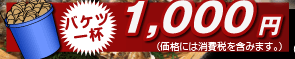 バケツ一杯1,000円（価格には消費税を含みます。）