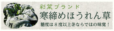 寒締めほうれんそう