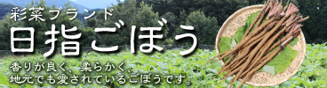 日指牛蒡