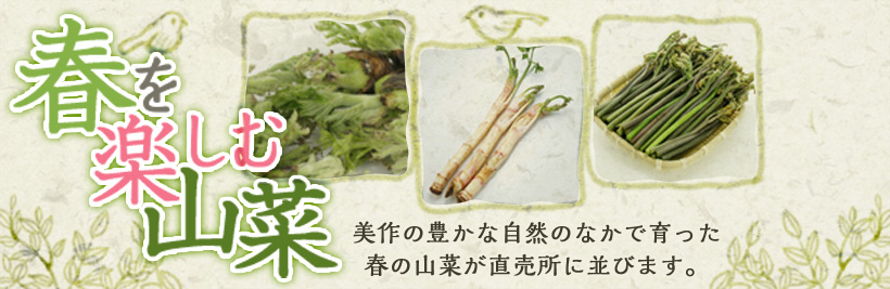 山菜