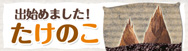 たけのこ