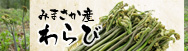 わらび