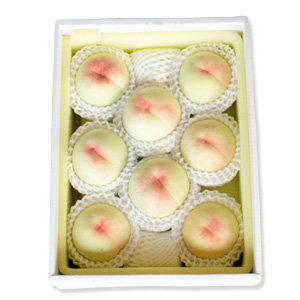 岡山の白桃 8玉の写真