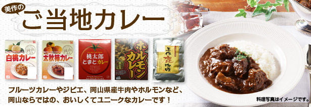 ホルモンカレーの写真