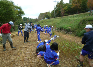 英田小学校の生徒とそばの収穫