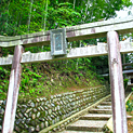武蔵神社の写真