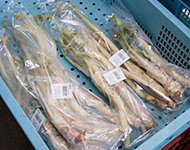 直売所の様子（うど）