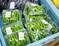 直売所の様子（ししとう）