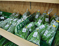 直売所の様子（インゲン豆）