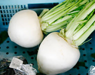 直売所の様子（かぶ）