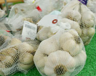 直売所の様子（にんにく）