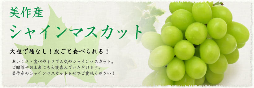 特大バナー シャインマスカット